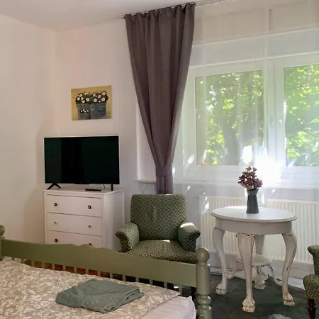 New Vintage House With Netflix Fuege Es Koenyvtar 公寓