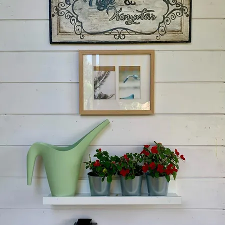 New Vintage House With Netflix Fuege Es Koenyvtar Apartment